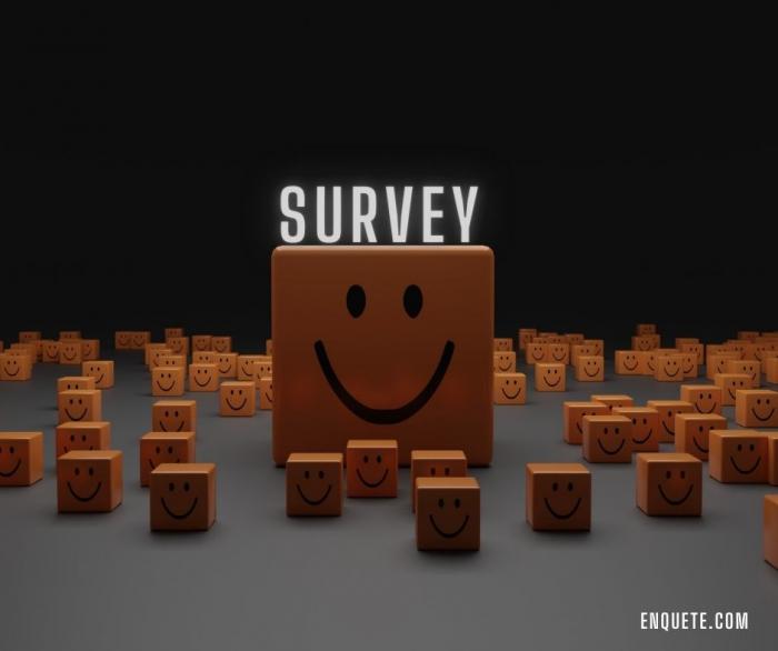 Advantages of survey
