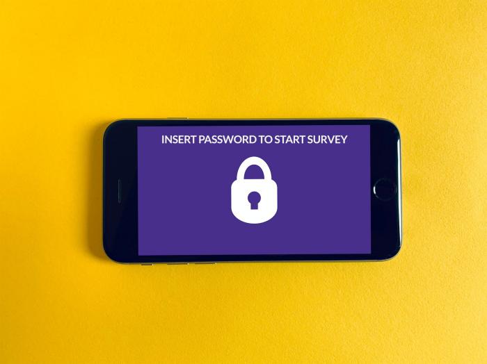 best-online-survey-security-methods